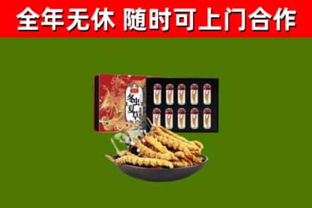 道里烟酒回收冬虫夏草礼盒.jpg